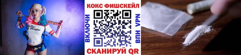 Кокаин Fish Scale  как найти закладки  mega tor  Одинцово 