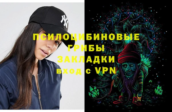 круглые Алексеевка