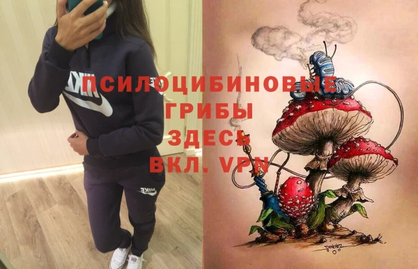 тгк Абдулино