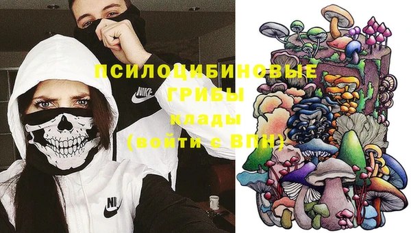 круглые Алексеевка