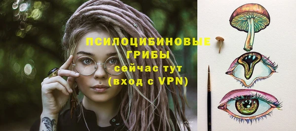 гидра Алексин