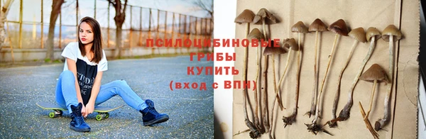 круглые Алексеевка