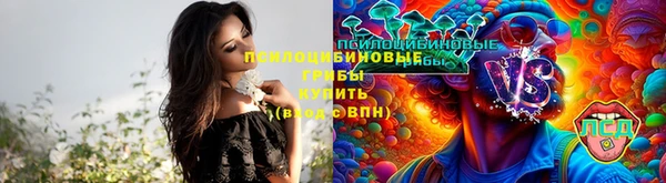 хмурый Лиски