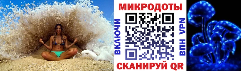 Псилоцибиновые грибы Cubensis  Одинцово 