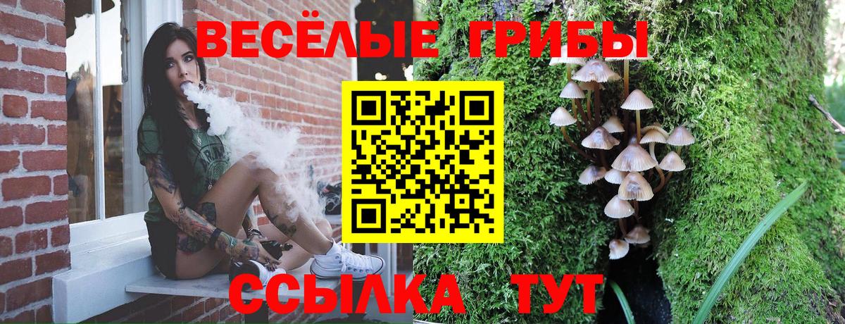Одинцово  Псилоцибиновые грибы Cubensis  Вход с VPN 